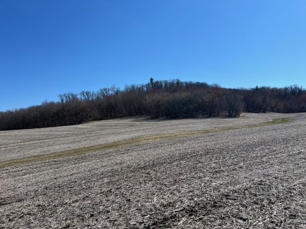 Land at 000 Pete Coulee Road, Taylor, WI 54659 — photo 4