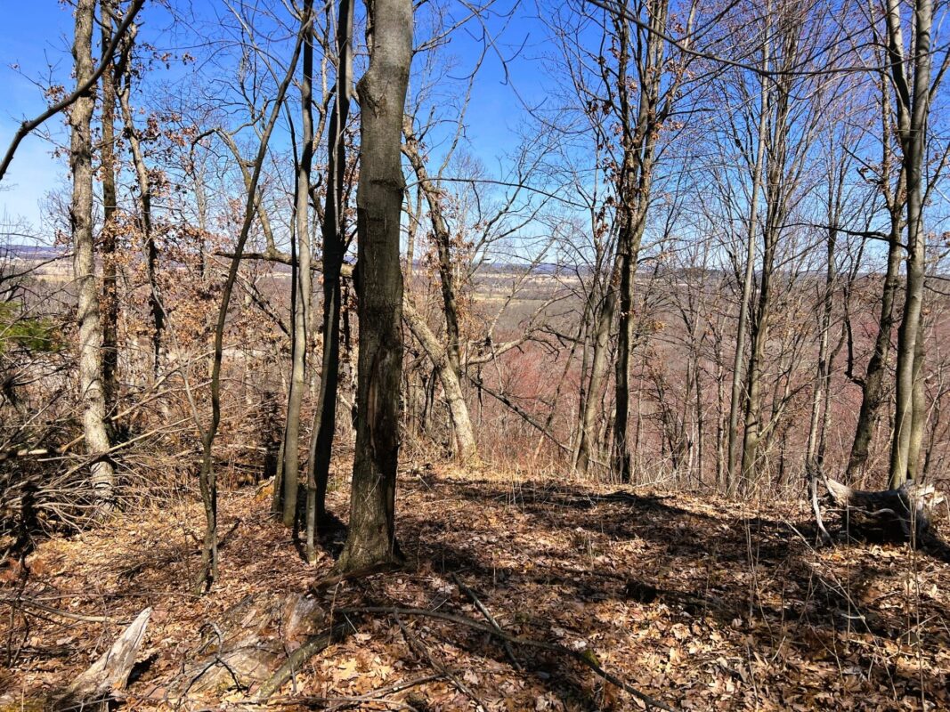 Land at 000 Pete Coulee Road, Taylor, WI 54659 — photo 40