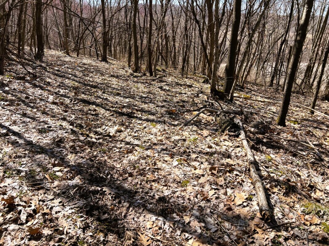 Land at 000 Pete Coulee Road, Taylor, WI 54659 — photo 41