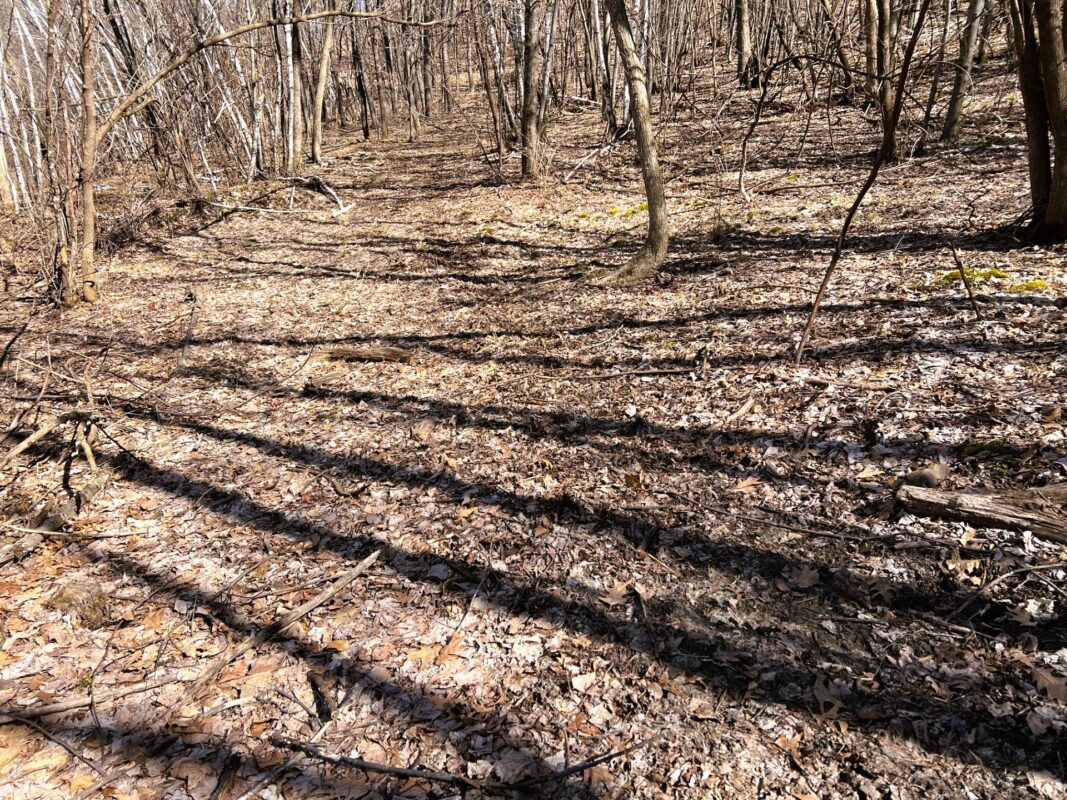 Land at 000 Pete Coulee Road, Taylor, WI 54659 — photo 42