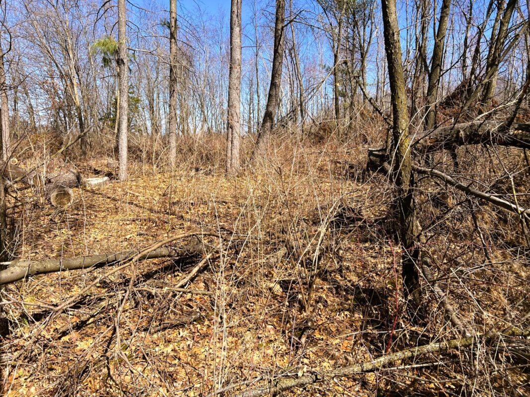 Land at 000 Pete Coulee Road, Taylor, WI 54659 — photo 43