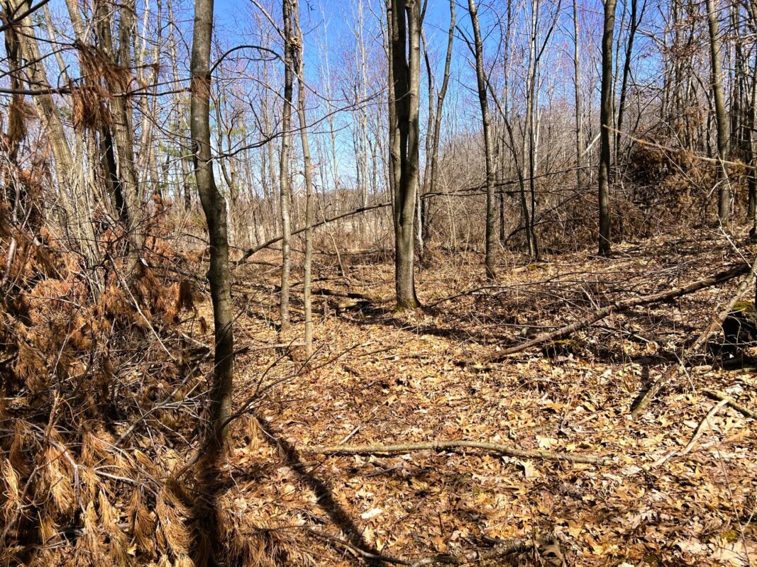 Land at 000 Pete Coulee Road, Taylor, WI 54659 — photo 45