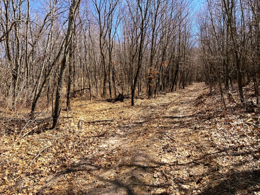 Land at 000 Pete Coulee Road, Taylor, WI 54659 — photo 48