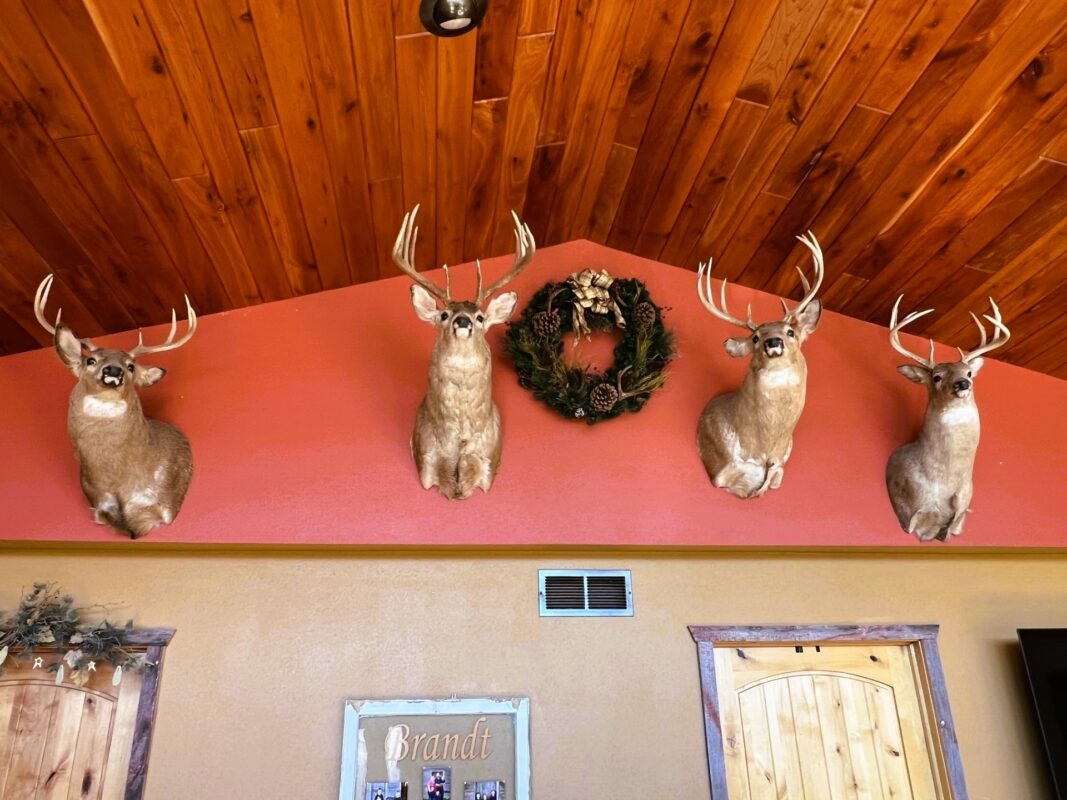 Land at 000 Pete Coulee Road, Taylor, WI 54659 — photo 7