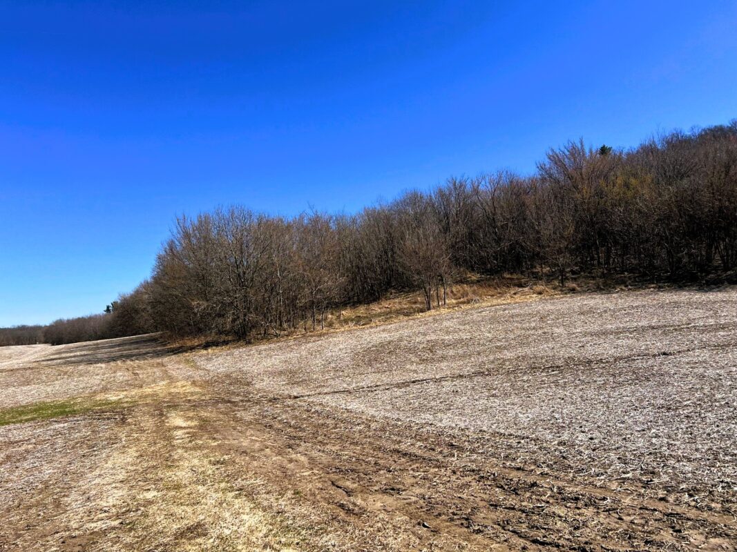 Land at 000 Pete Coulee Road, Taylor, WI 54659 — photo 8