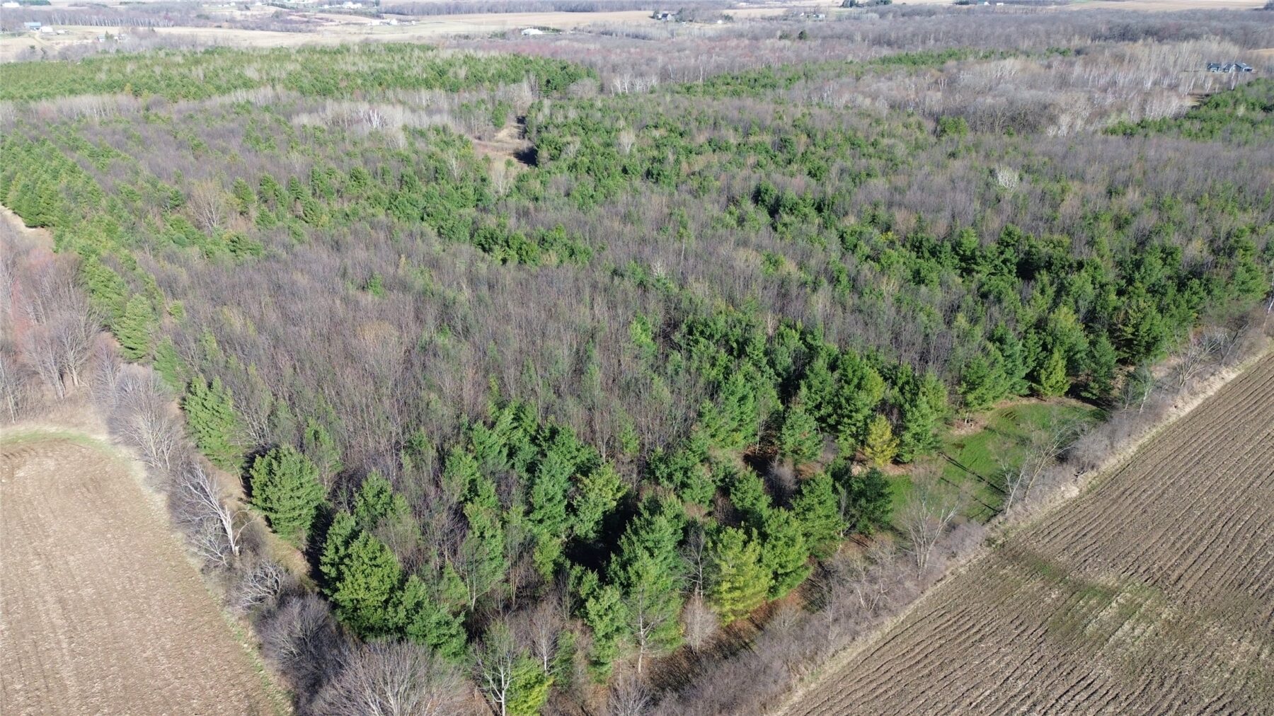 0000 110th Avenue Avenue, Glenwood City, WI — photo 10