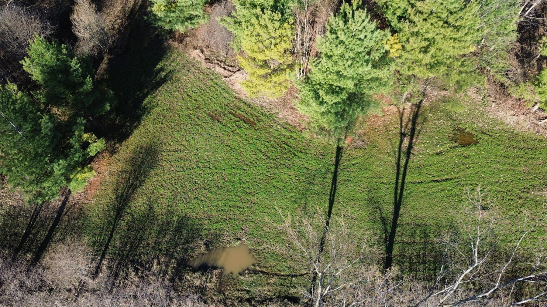 0000 110th Avenue Avenue, Glenwood City, WI — photo 12