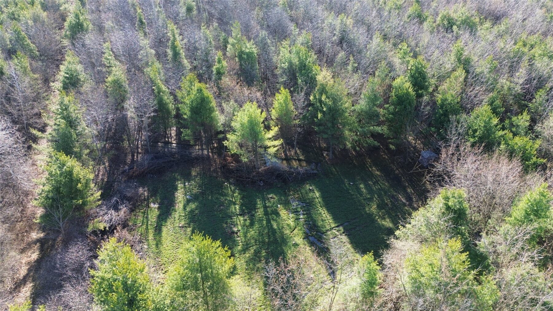 0000 110th Avenue Avenue, Glenwood City, WI — photo 14
