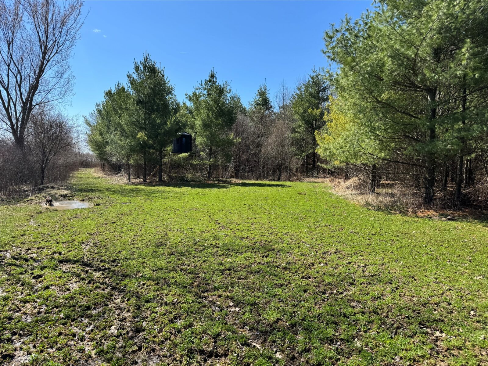 0000 110th Avenue Avenue, Glenwood City, WI — photo 15