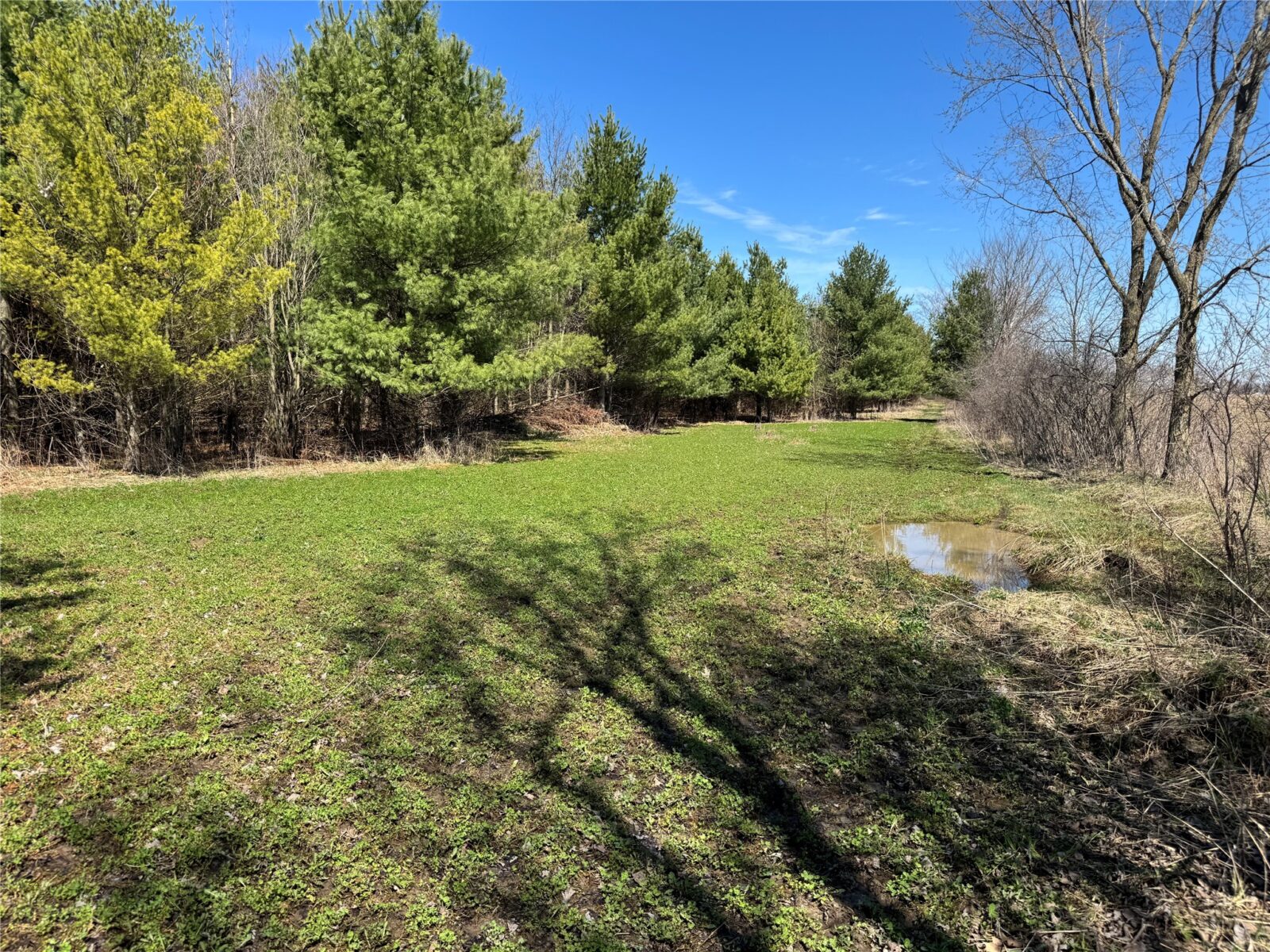 0000 110th Avenue Avenue, Glenwood City, WI — photo 16