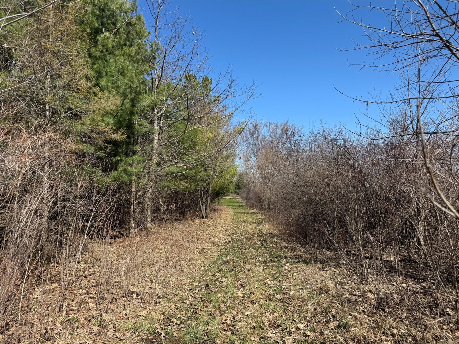 0000 110th Avenue Avenue, Glenwood City, WI — photo 18