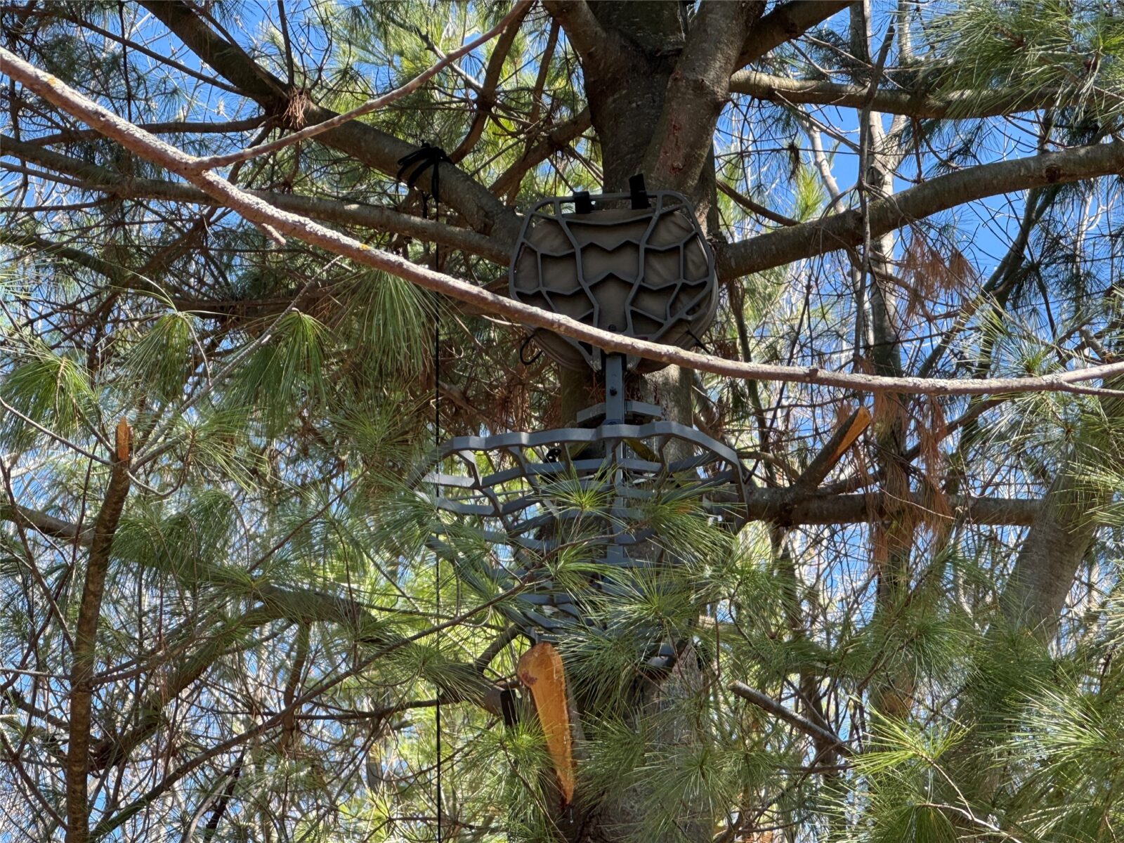 0000 110th Avenue Avenue, Glenwood City, WI — photo 19