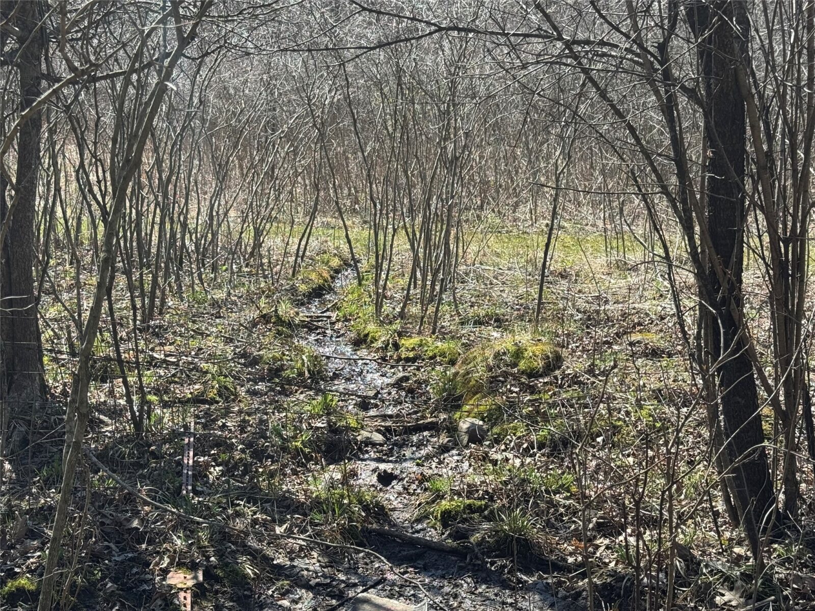 0000 110th Avenue Avenue, Glenwood City, WI — photo 20