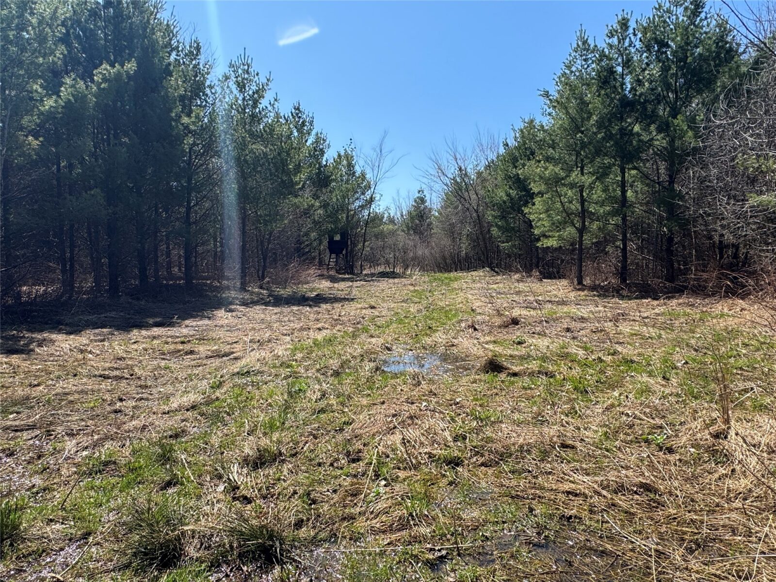 0000 110th Avenue Avenue, Glenwood City, WI — photo 21