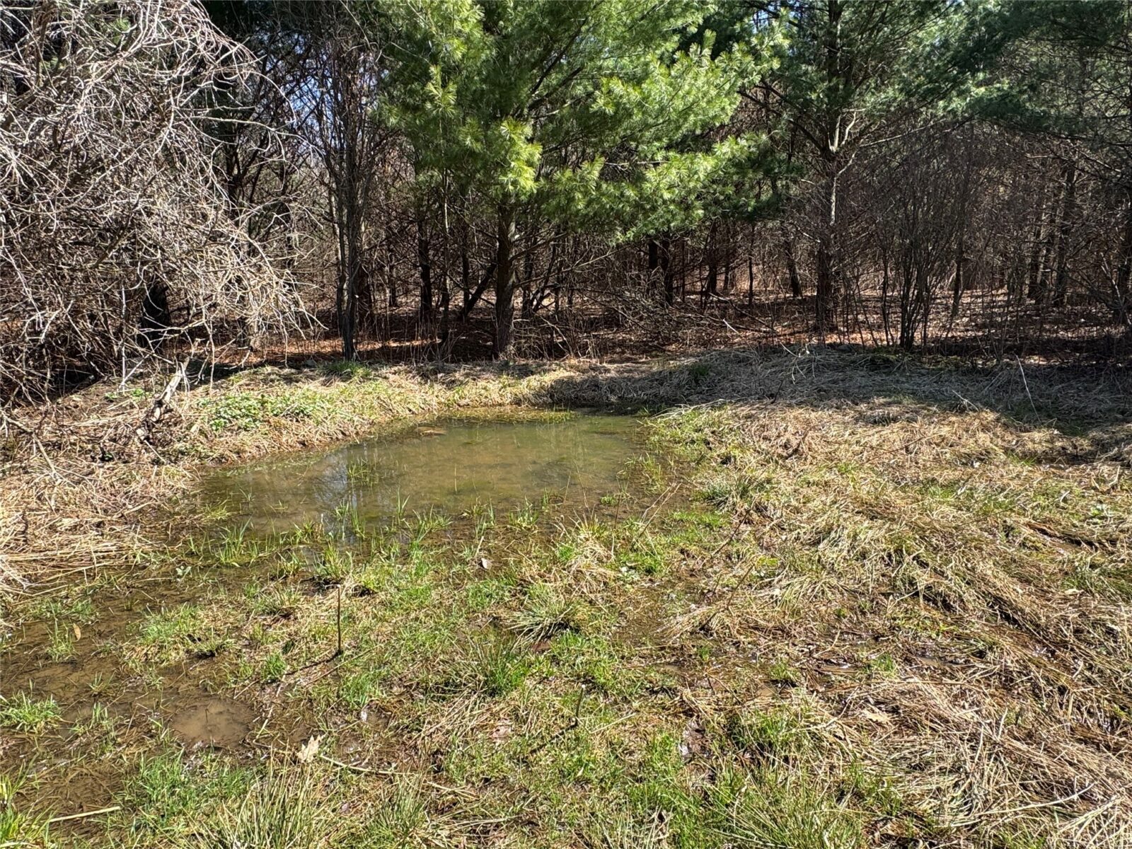 0000 110th Avenue Avenue, Glenwood City, WI — photo 22