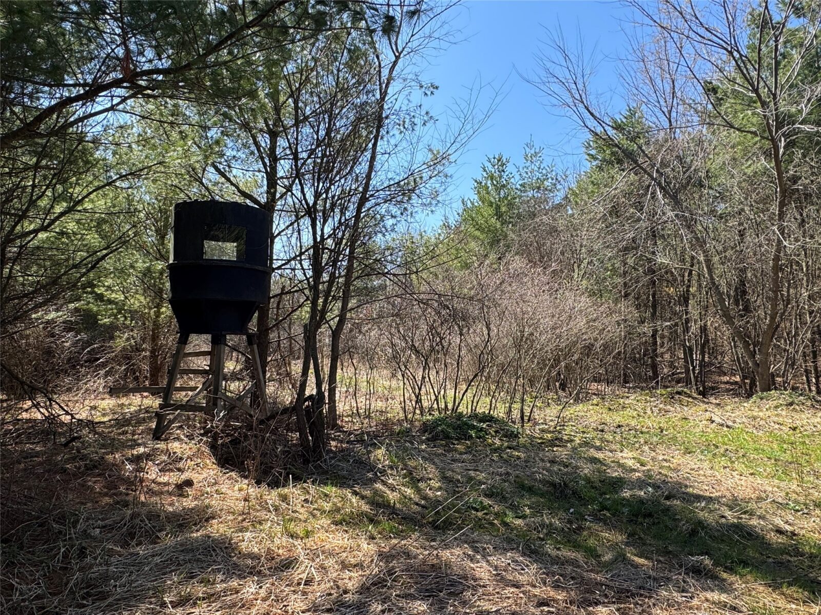 0000 110th Avenue Avenue, Glenwood City, WI — photo 23