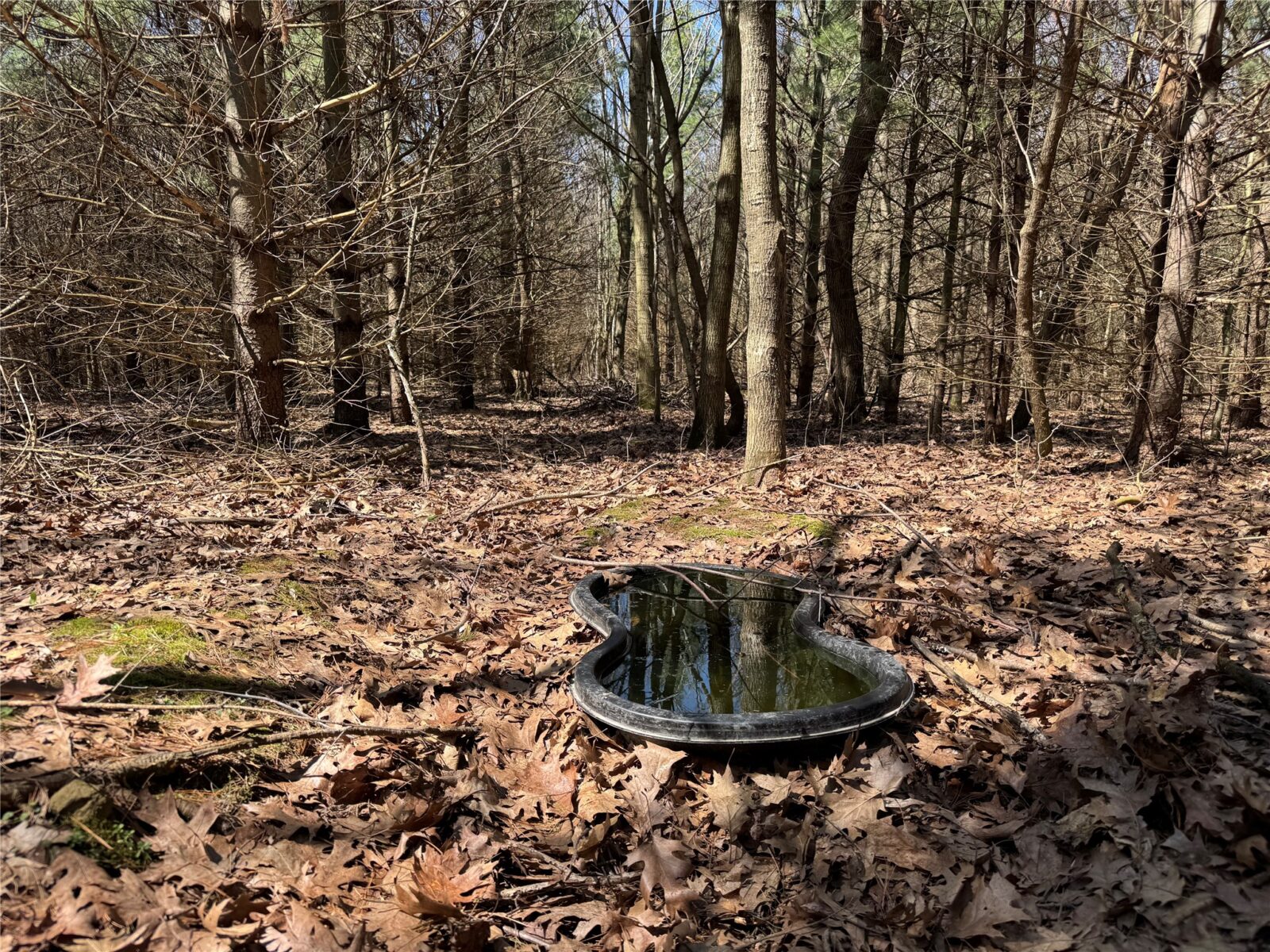 0000 110th Avenue Avenue, Glenwood City, WI — photo 24