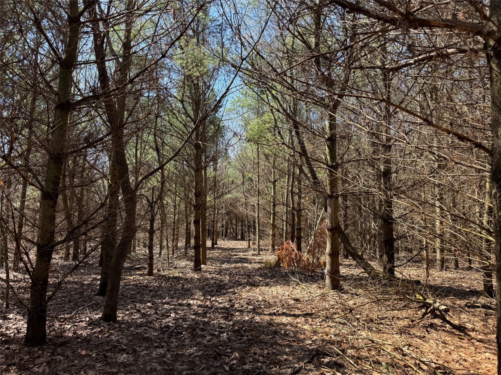 0000 110th Avenue Avenue, Glenwood City, WI — photo 25