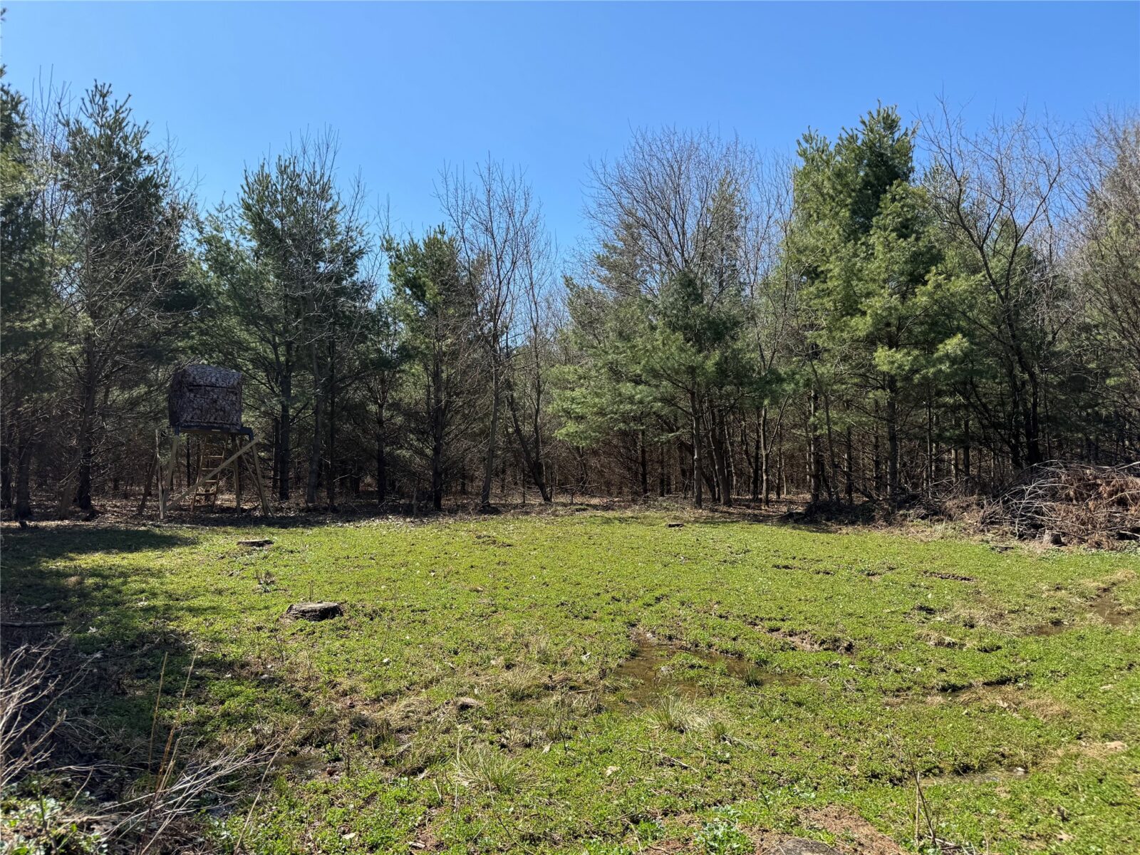 0000 110th Avenue Avenue, Glenwood City, WI — photo 26