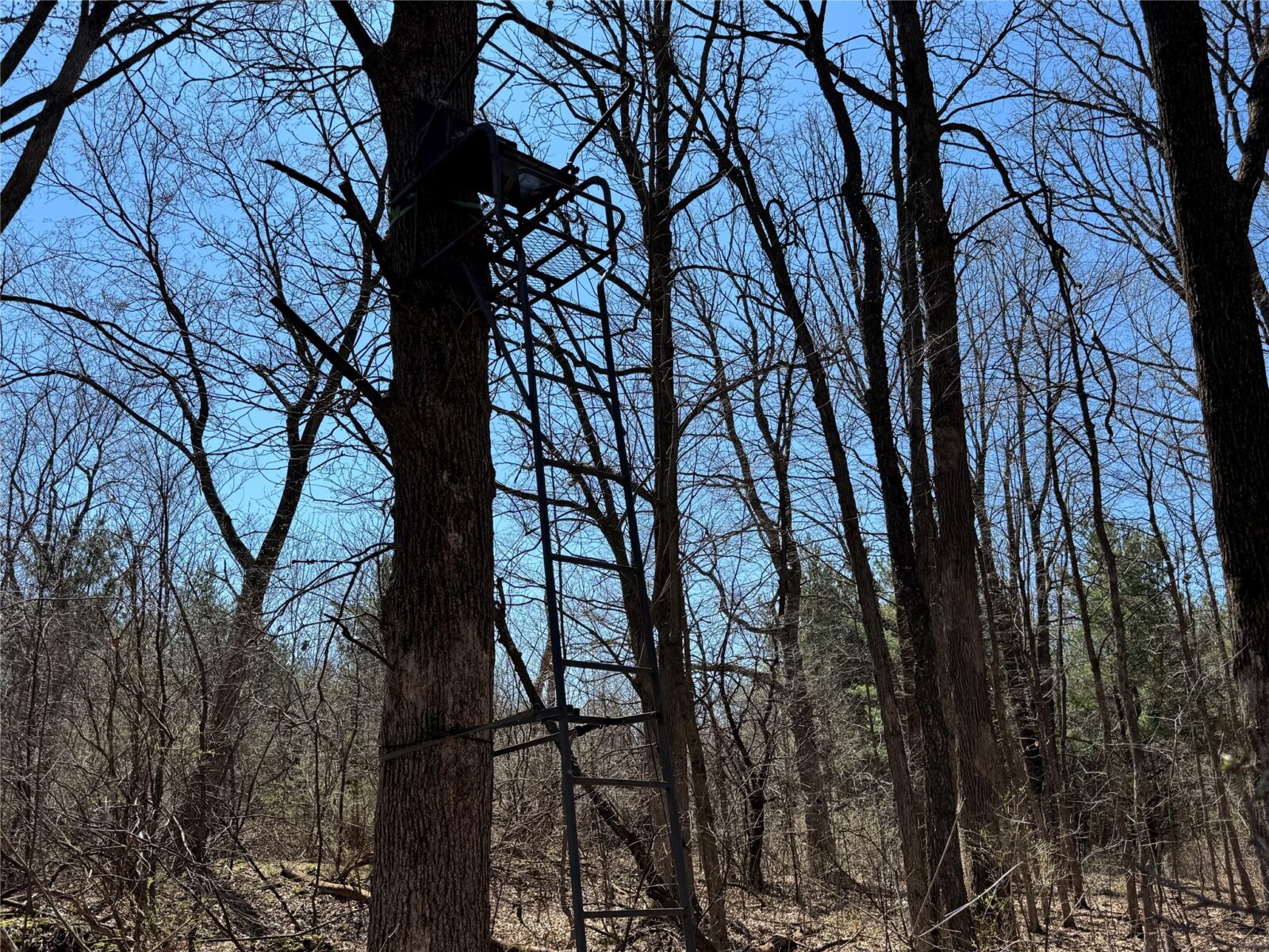 0000 110th Avenue Avenue, Glenwood City, WI — photo 29