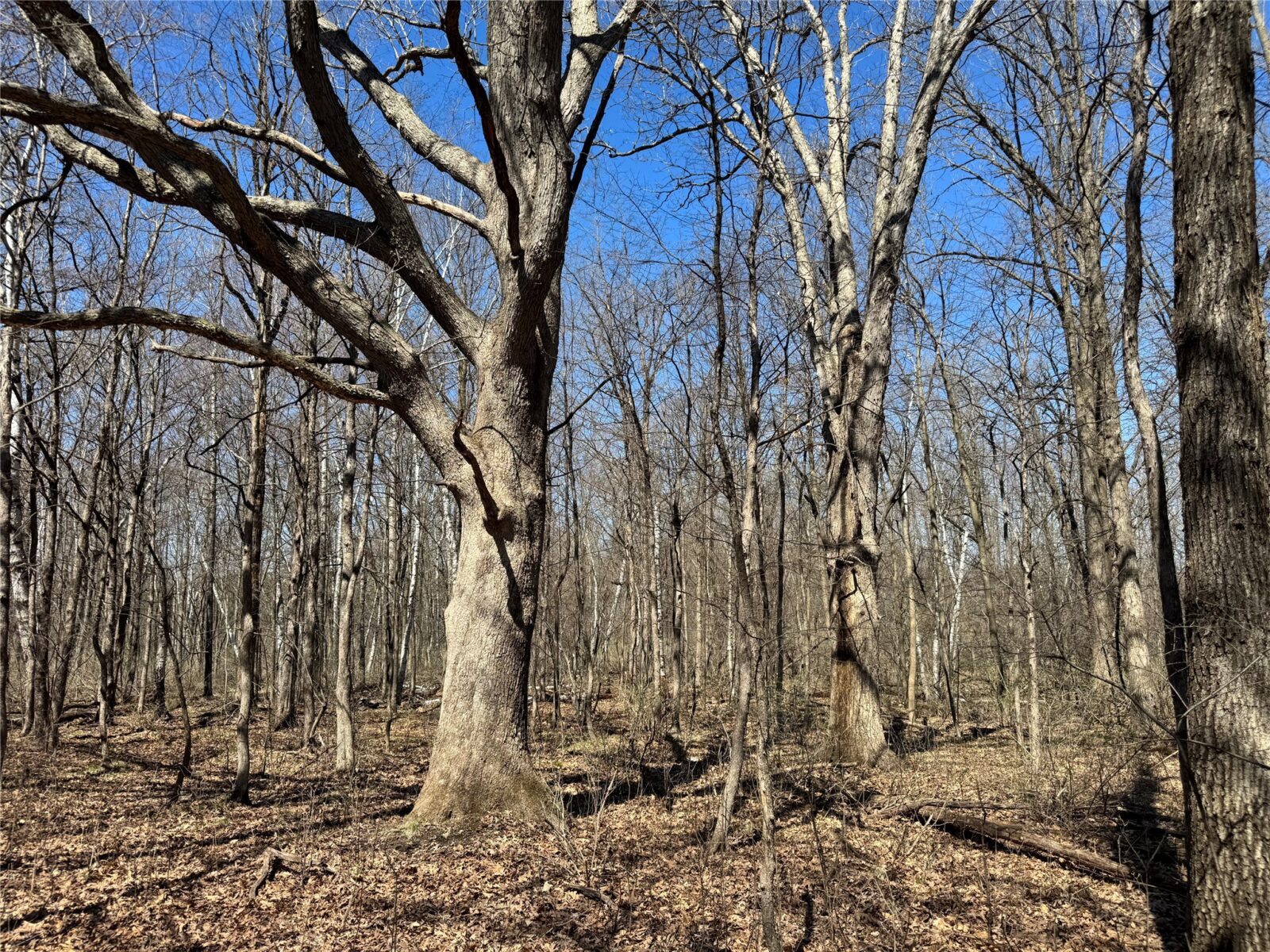 0000 110th Avenue Avenue, Glenwood City, WI — photo 30