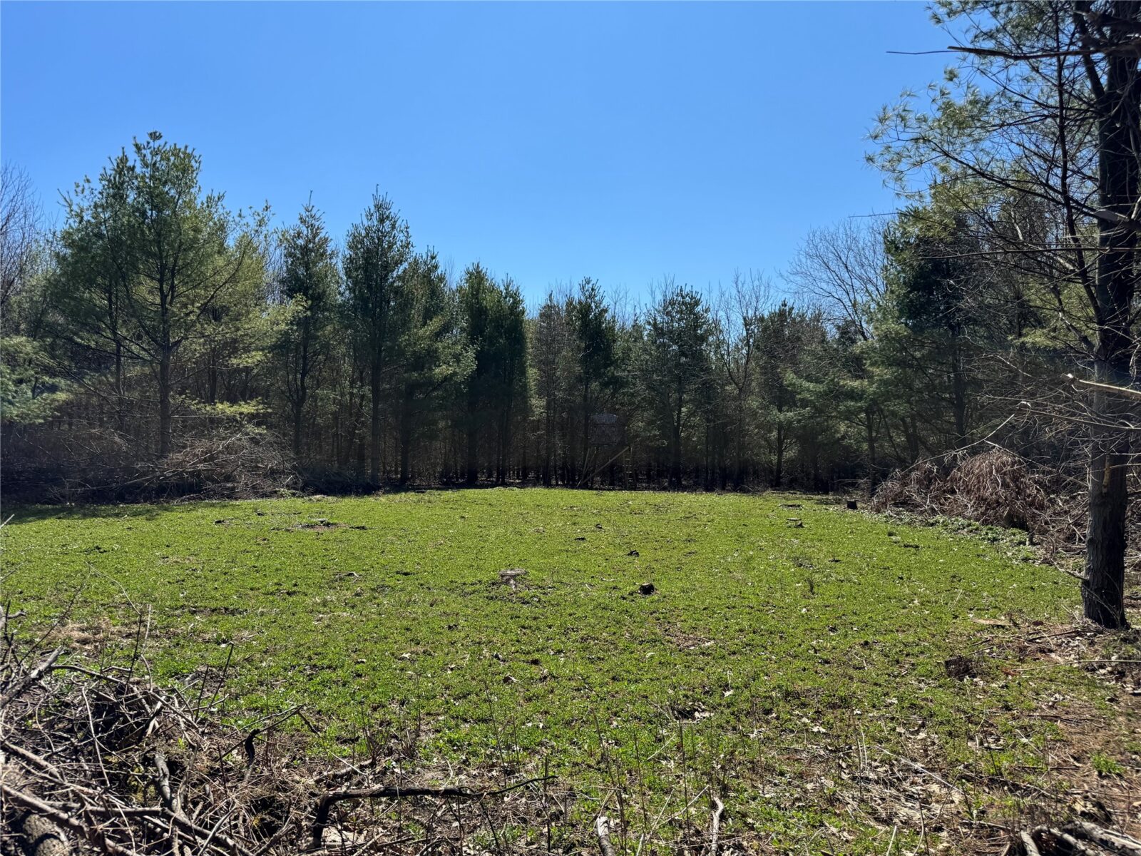 0000 110th Avenue Avenue, Glenwood City, WI — photo 31