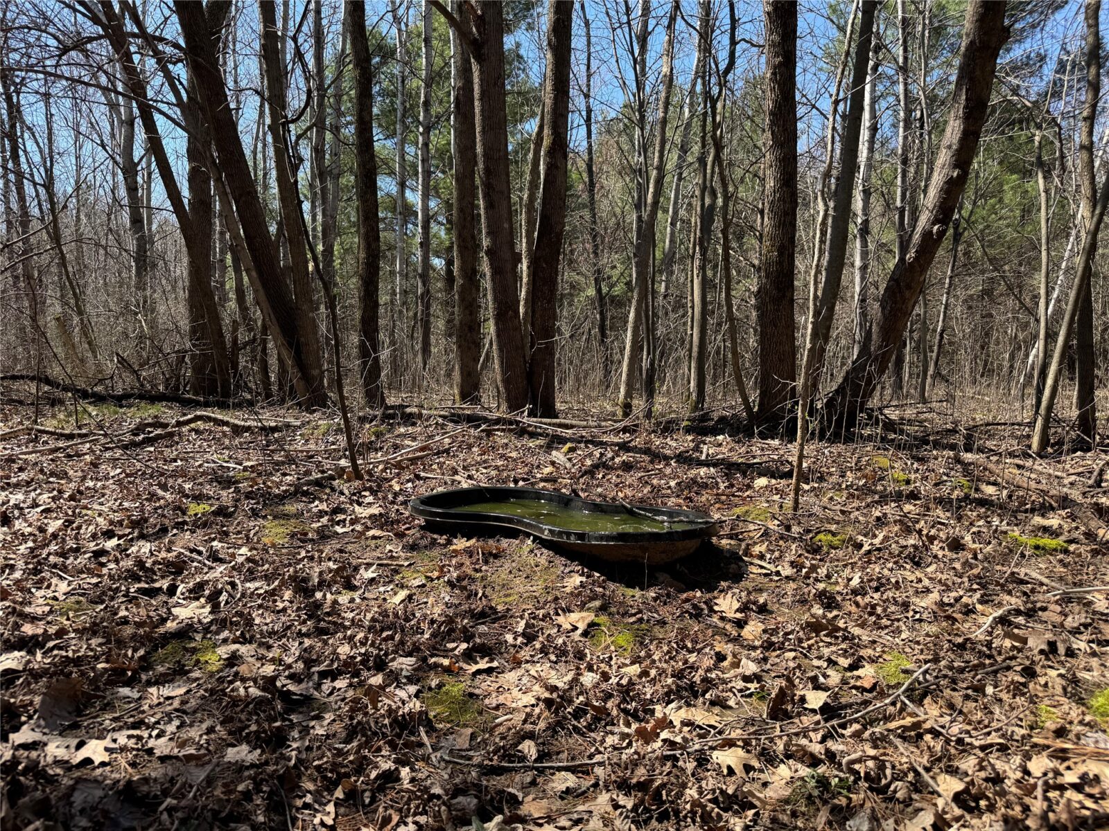 0000 110th Avenue Avenue, Glenwood City, WI — photo 32