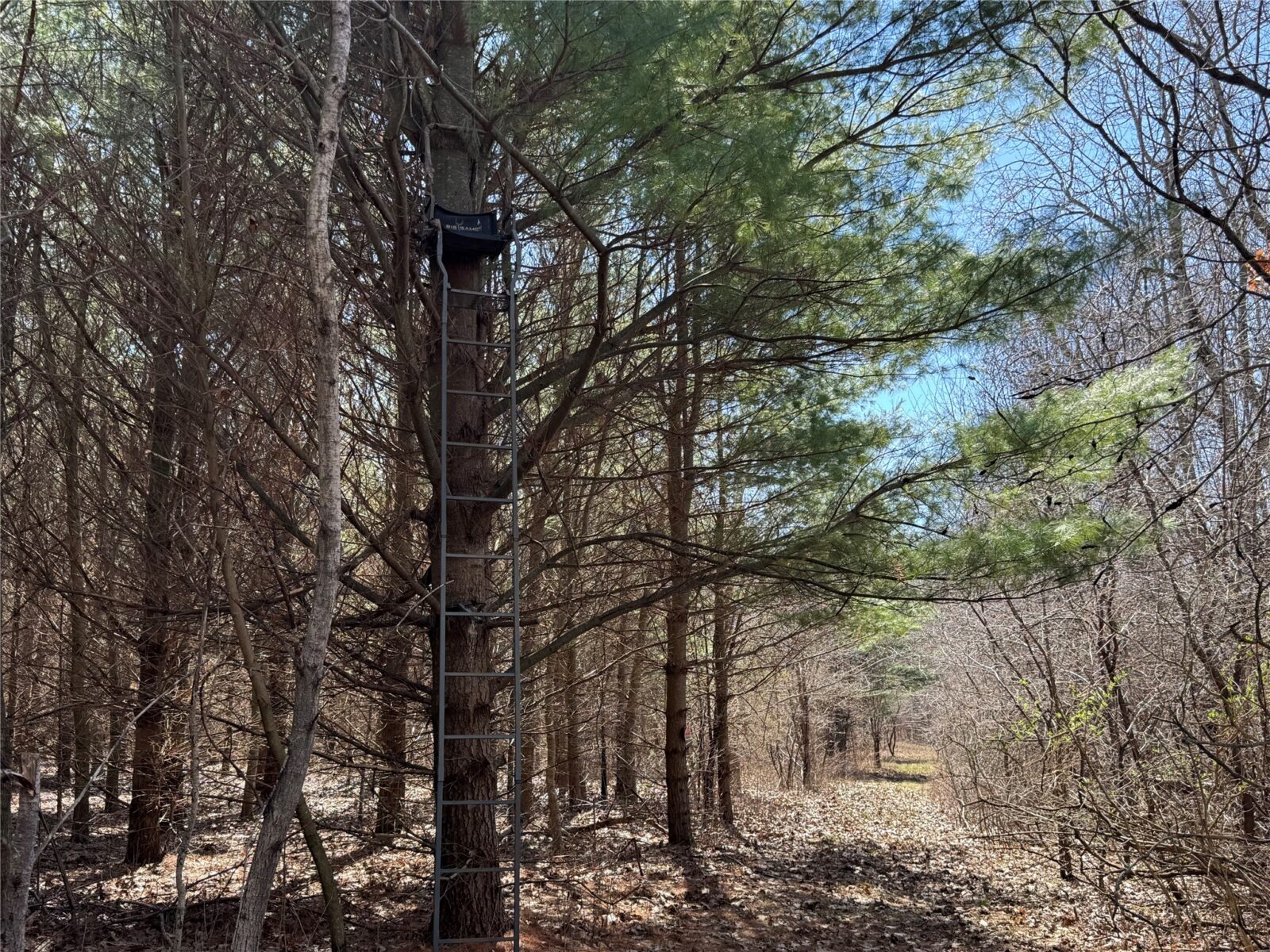 0000 110th Avenue Avenue, Glenwood City, WI — photo 33