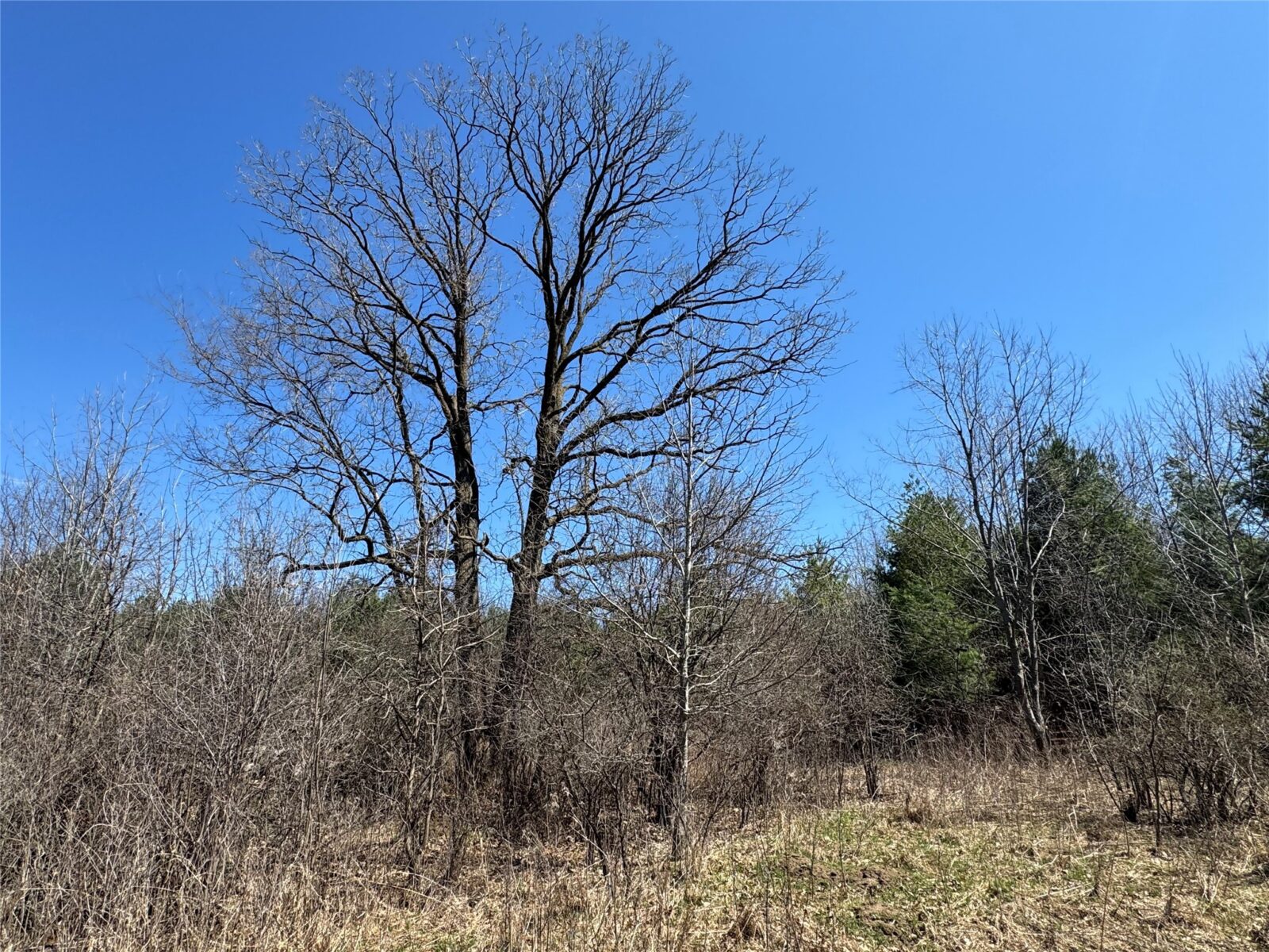 0000 110th Avenue Avenue, Glenwood City, WI — photo 34