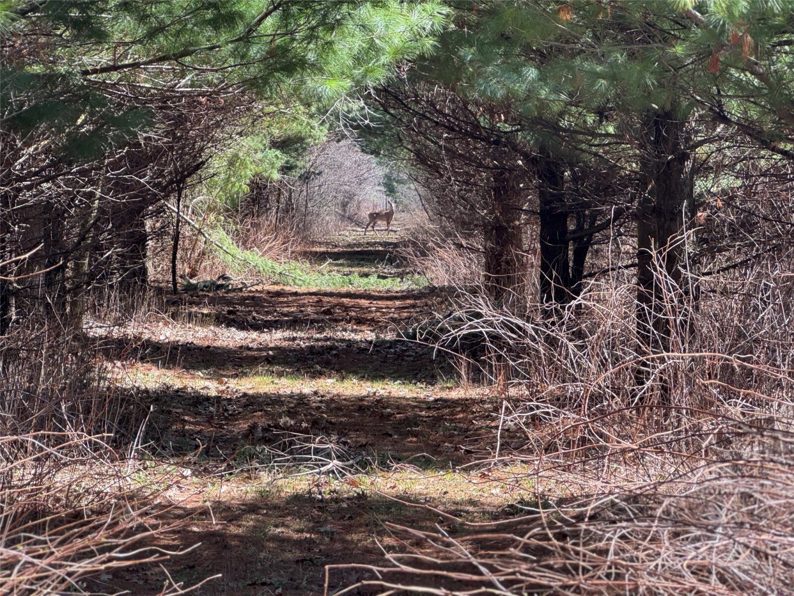 0000 110th Avenue Avenue, Glenwood City, WI — photo 35