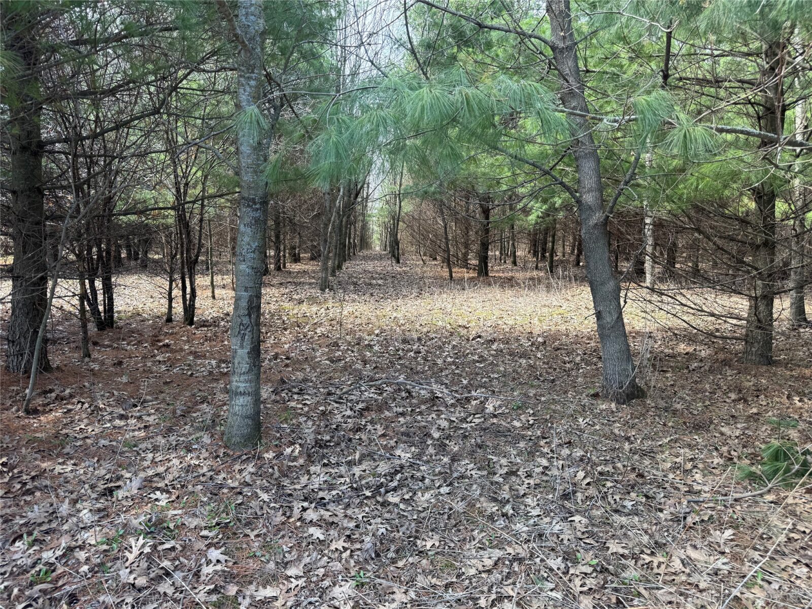 0000 110th Avenue Avenue, Glenwood City, WI — photo 36