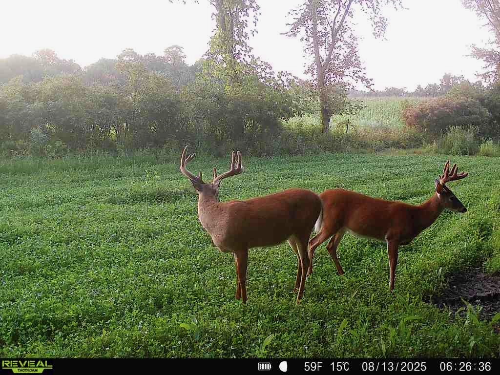 0000 110th Avenue Avenue, Glenwood City, WI — photo 37