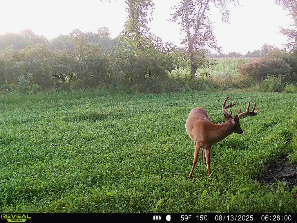 0000 110th Avenue Avenue, Glenwood City, WI — photo 38