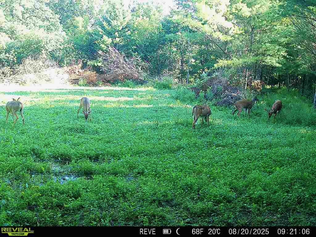0000 110th Avenue Avenue, Glenwood City, WI — photo 39