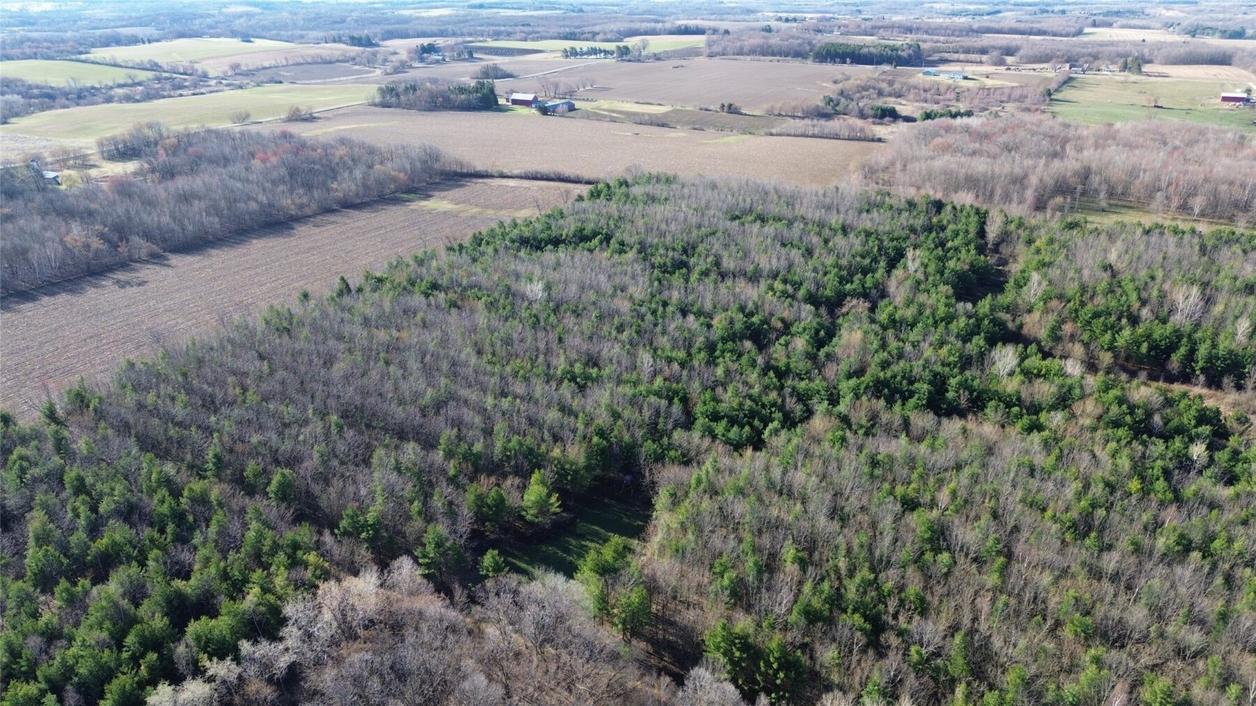0000 110th Avenue Avenue, Glenwood City, WI — photo 4