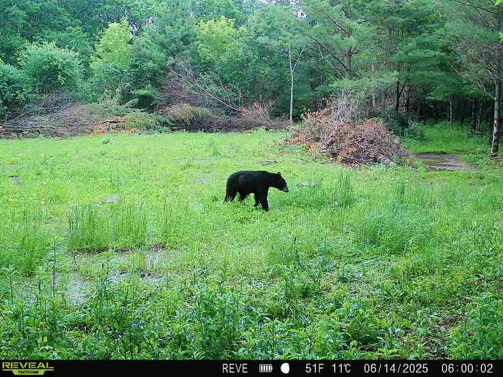 0000 110th Avenue Avenue, Glenwood City, WI — photo 40