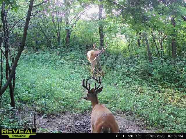 0000 110th Avenue Avenue, Glenwood City, WI — photo 41