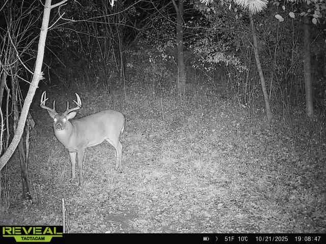 0000 110th Avenue Avenue, Glenwood City, WI — photo 43