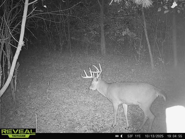 0000 110th Avenue Avenue, Glenwood City, WI — photo 44