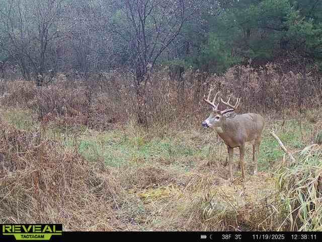 0000 110th Avenue Avenue, Glenwood City, WI — photo 45