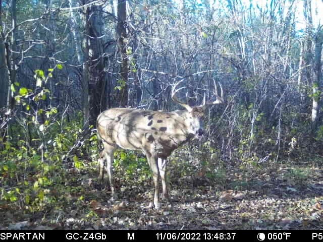 0000 110th Avenue Avenue, Glenwood City, WI — photo 46
