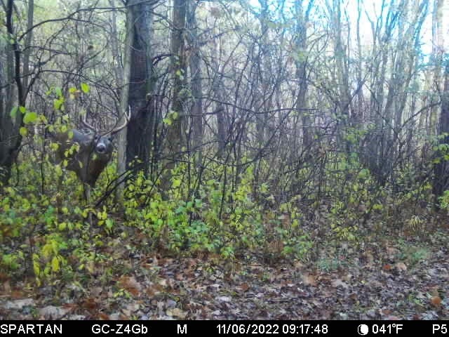 0000 110th Avenue Avenue, Glenwood City, WI — photo 47