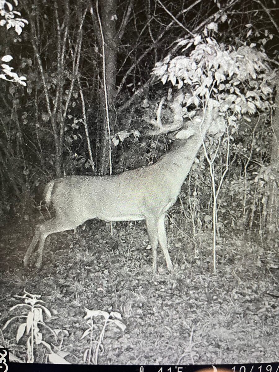 0000 110th Avenue Avenue, Glenwood City, WI — photo 48