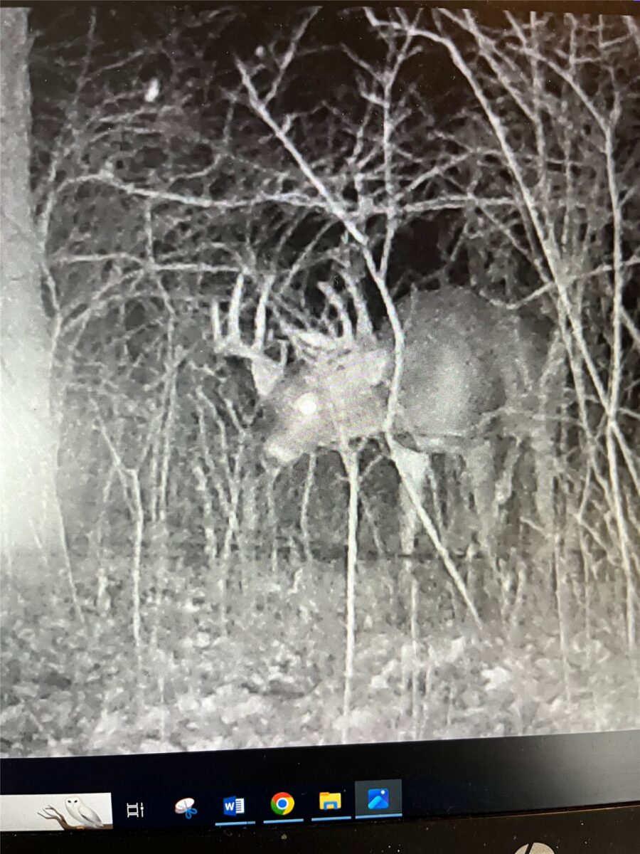 0000 110th Avenue Avenue, Glenwood City, WI — photo 49