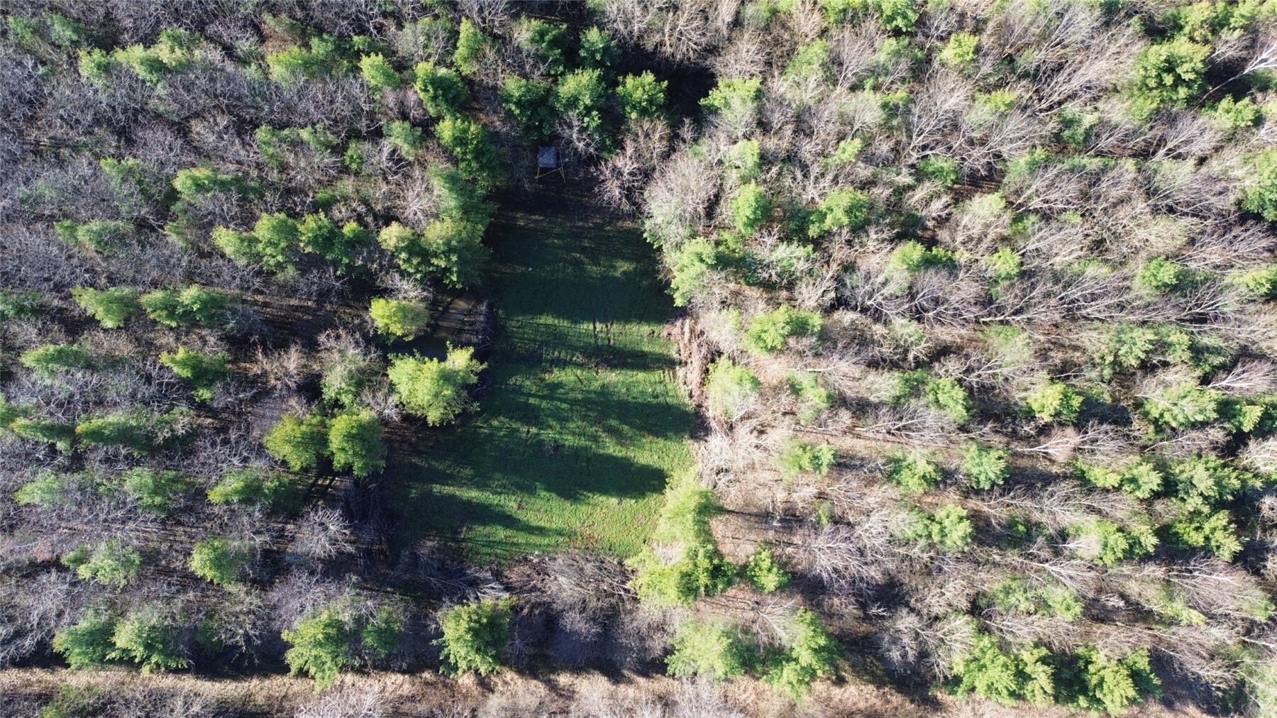 0000 110th Avenue Avenue, Glenwood City, WI — photo 5