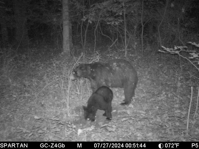 0000 110th Avenue Avenue, Glenwood City, WI — photo 50