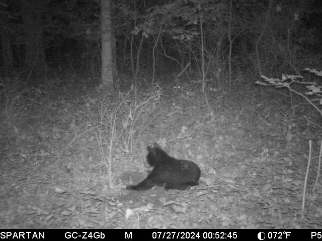 0000 110th Avenue Avenue, Glenwood City, WI — photo 51