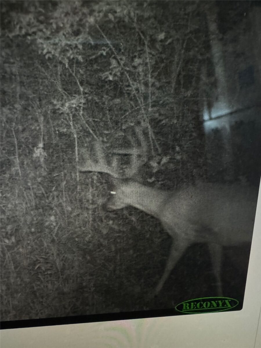 0000 110th Avenue Avenue, Glenwood City, WI — photo 52