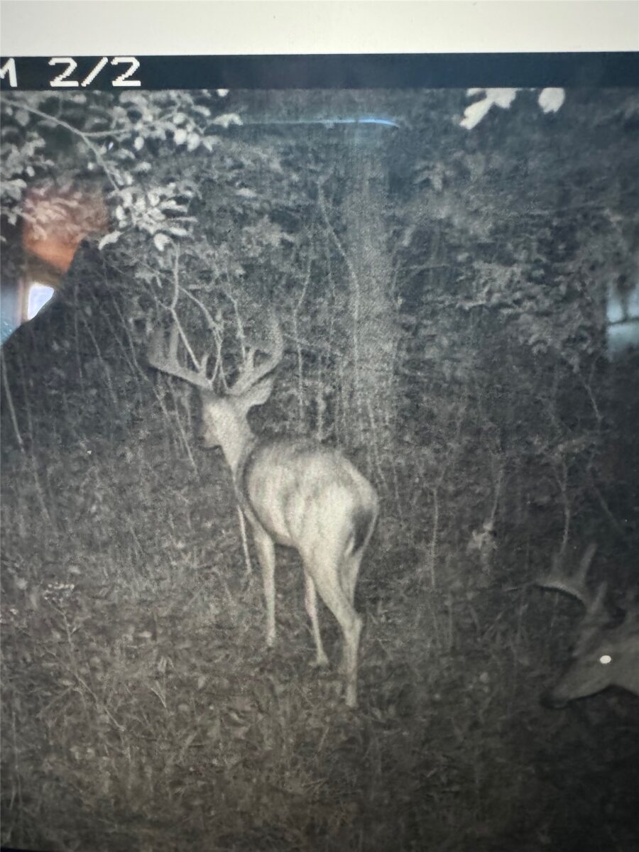 0000 110th Avenue Avenue, Glenwood City, WI — photo 53