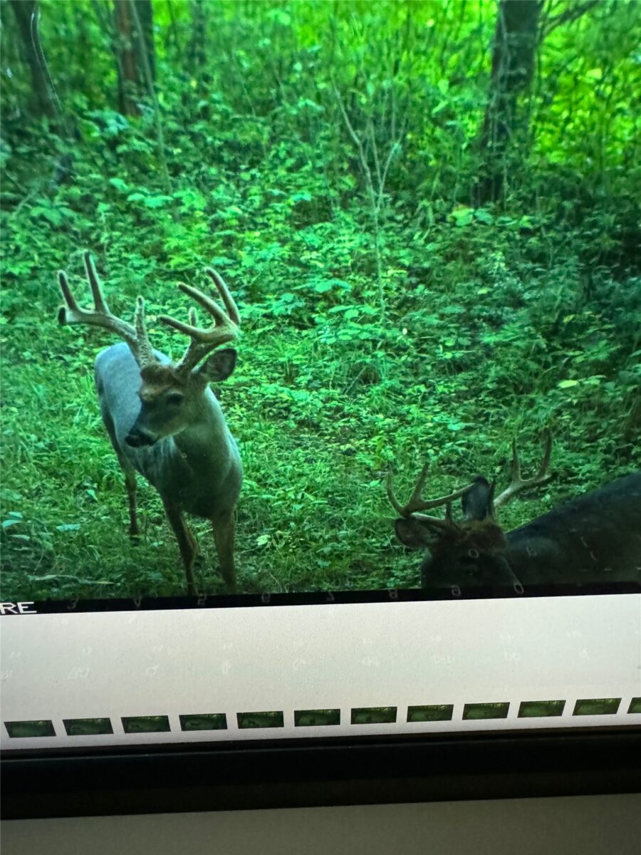 0000 110th Avenue Avenue, Glenwood City, WI — photo 54